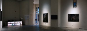 Art in Dubai: Prix Pictet-Consumption Opening on January 15 2015