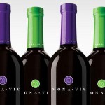 MonaVie a More Meaningful Life