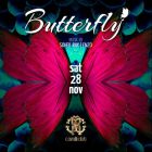 Saturday Night Fever in Dubai: december 19th 2015