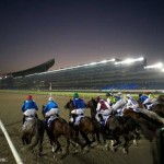 Dubai World Cup 2016 @ Meydan Racecourse on March 26th 2016
