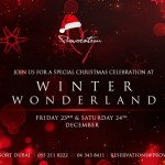 Christmas Parties in Dubai nightlife: 23th, 24th, 25th December 2016