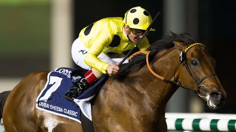 Dubai World Cup 2017 @ Meydan Racecourse on 25th March 2017