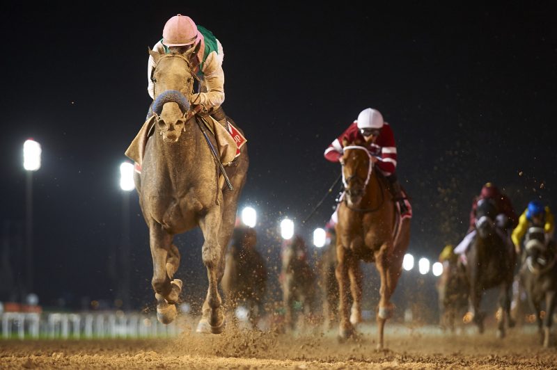 Arrogate wins the Dubai World Cup 2017