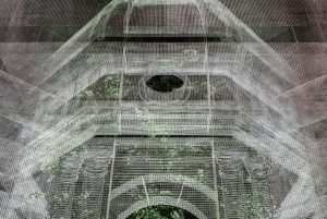 Edoardo Tresoldi negli UAE - le committenze ad Abu Dhabi e Al Dhaid