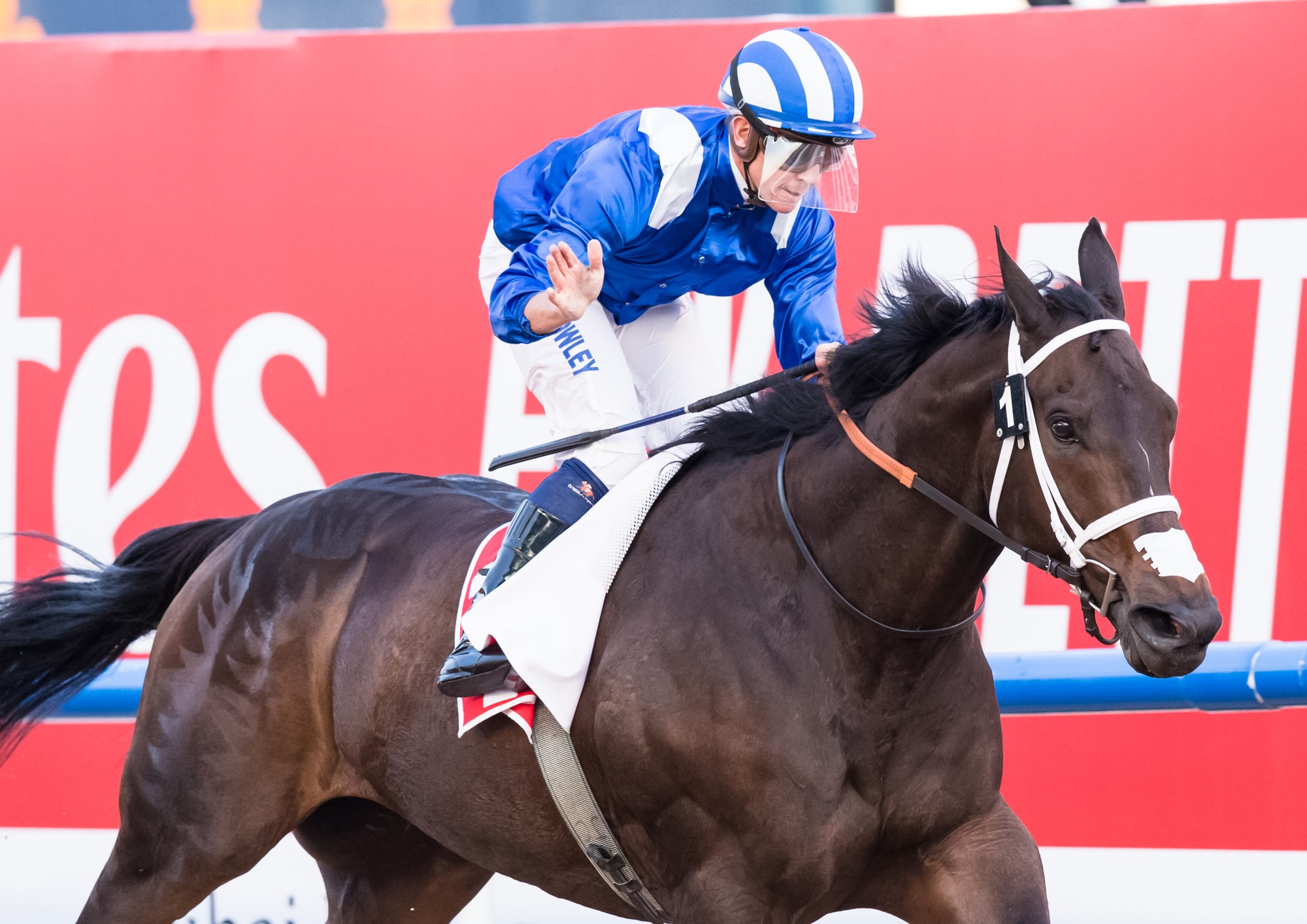 Muntazah and Capezzano Star On SUPER SATURDAY @ Meydan Racecourse