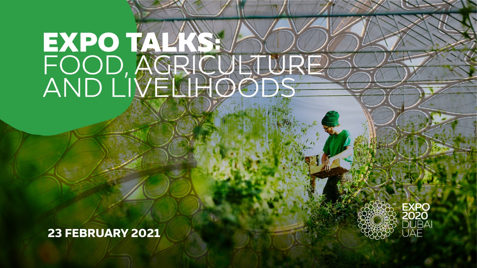 Expo Dubai: Italy's agrifood takes centre stage at the global digital event 'Food, Agriculture and Livelihoods'